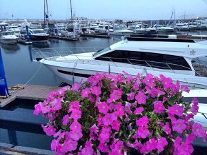 沖津-2014大連國(guó)際游艇展